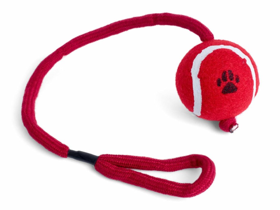 * Online Sales Petface Tennis Ball On A Rope Assorted Dogs