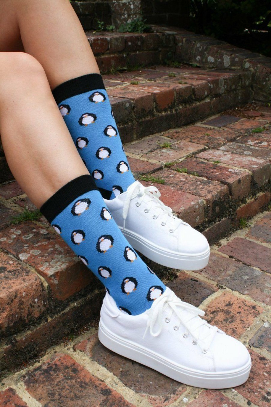 * Online Sales Swole Panda Women'S Bamboo Socks Penguins Socks